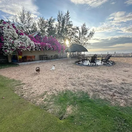 Orchid Boutique Beach Resort-3