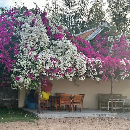 Orchid Boutique Beach Resort-2